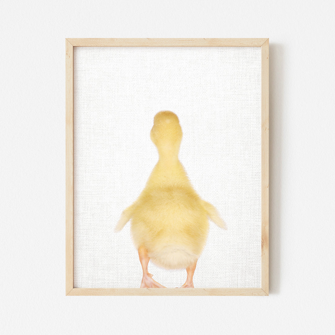 a picture of a duck in a frame