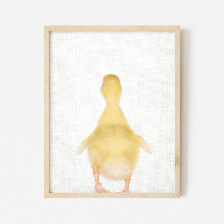 a picture of a duck in a frame