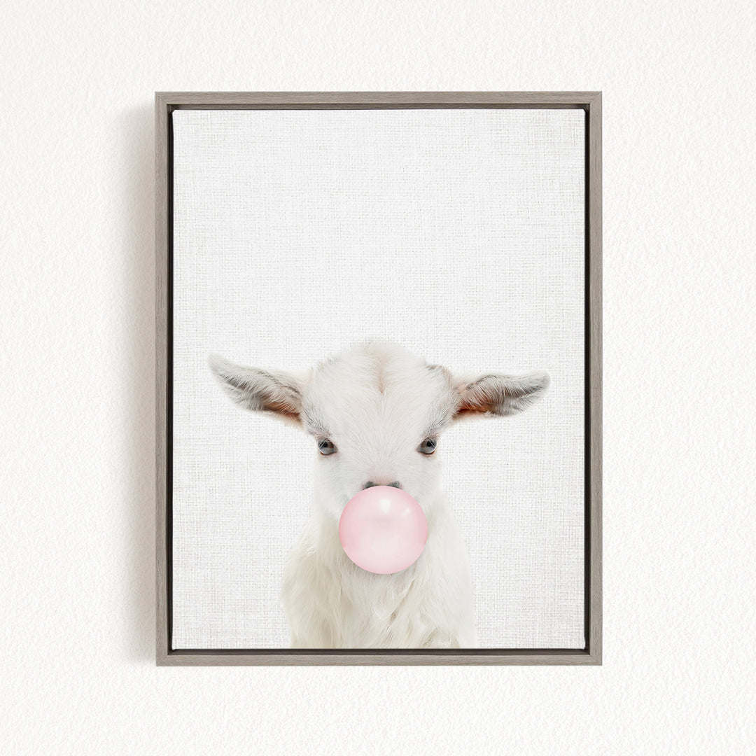A white goat with pink bubble gum blowing in its mouth is the main subject of the image.