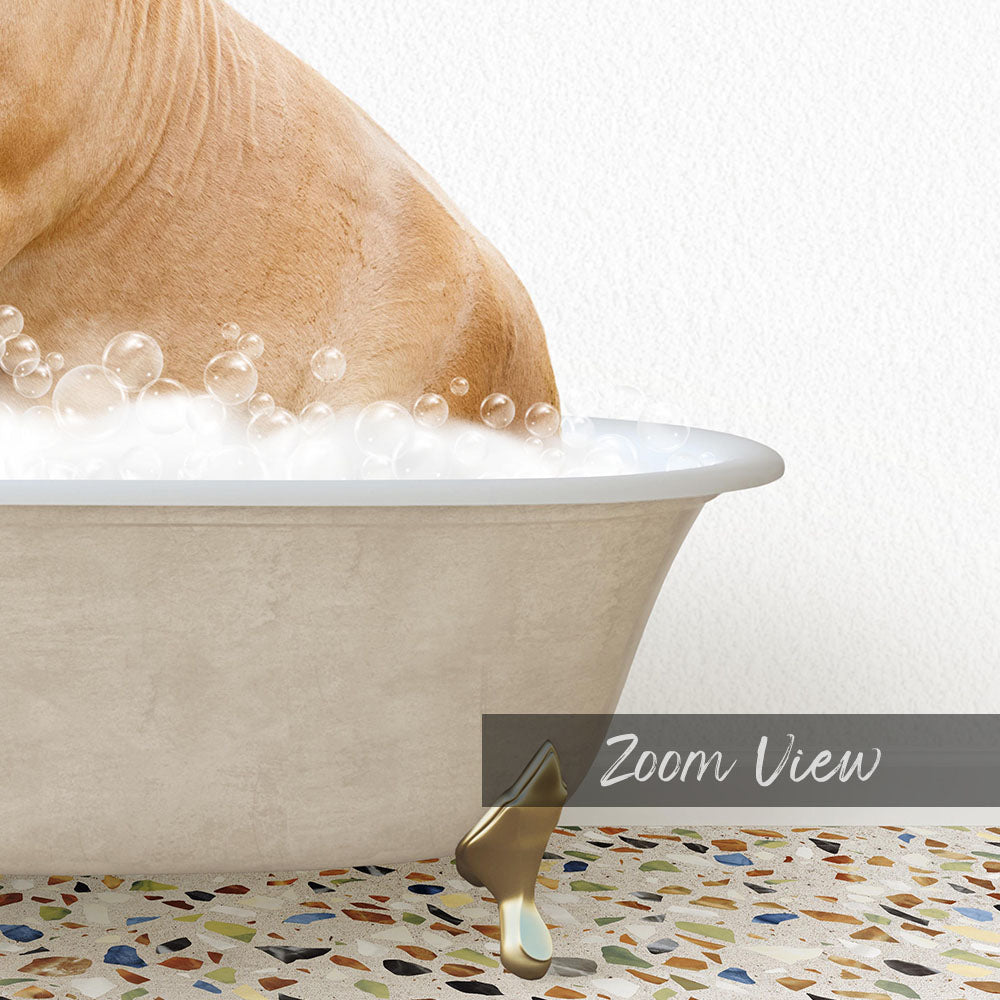 A bathtub filled with bubbles, with a dog standing in it.