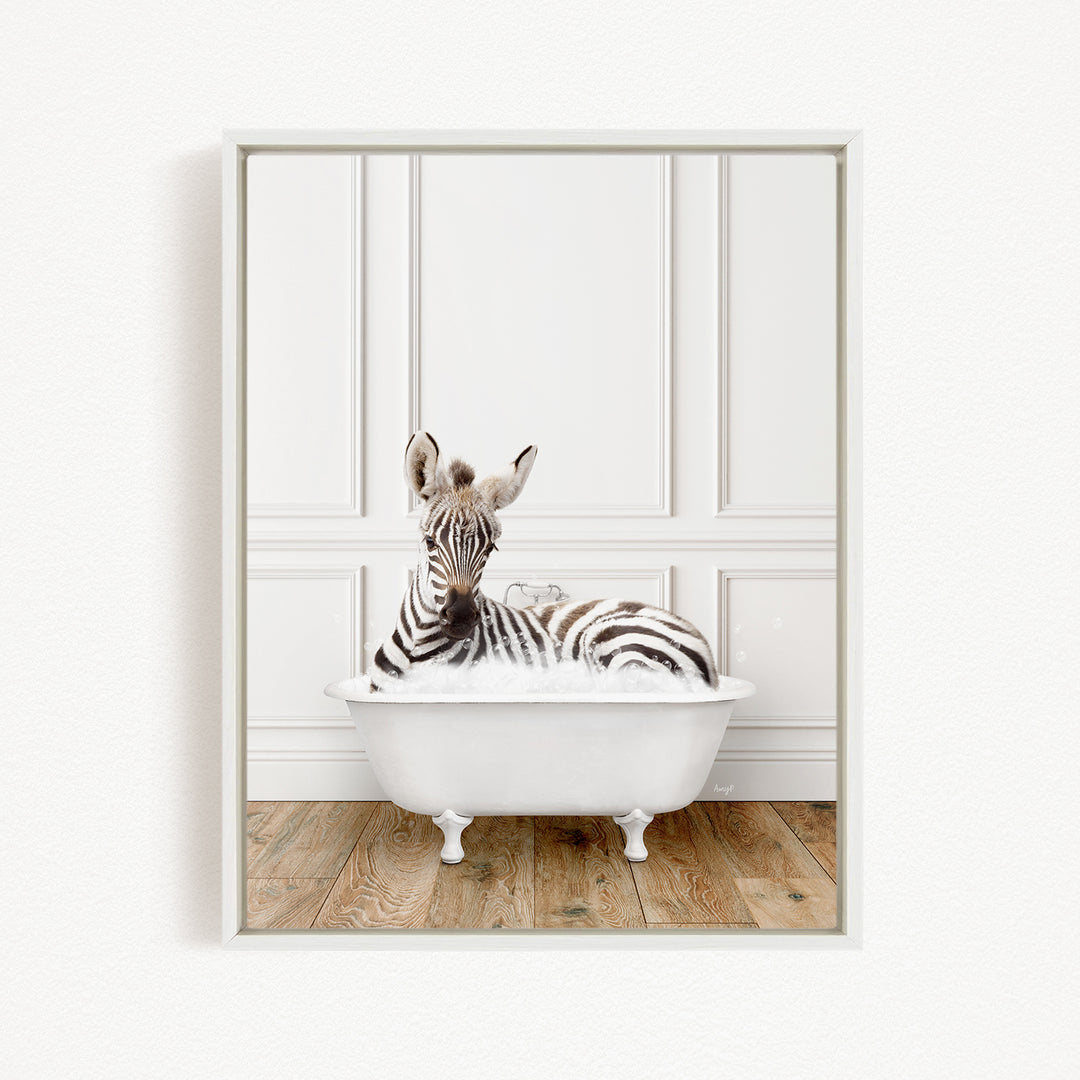 A zebra is sitting in a white bathtub, surrounded by a white wall and wooden floor.