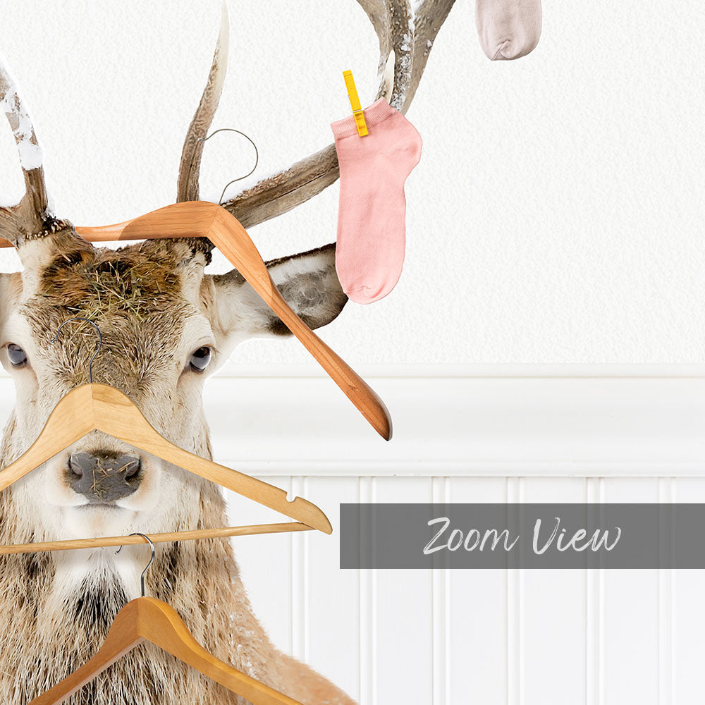 A deer head is mounted on a wall, with a pile of clothes hanging from its antlers.