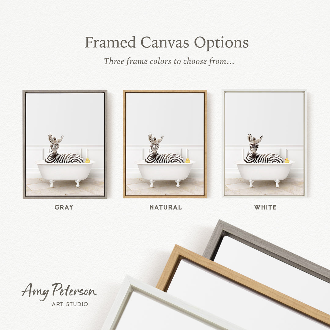 three framed canvas options, each featuring a zebra sitting in a bathtub. The options include a gray frame, a natural frame, and a white frame.