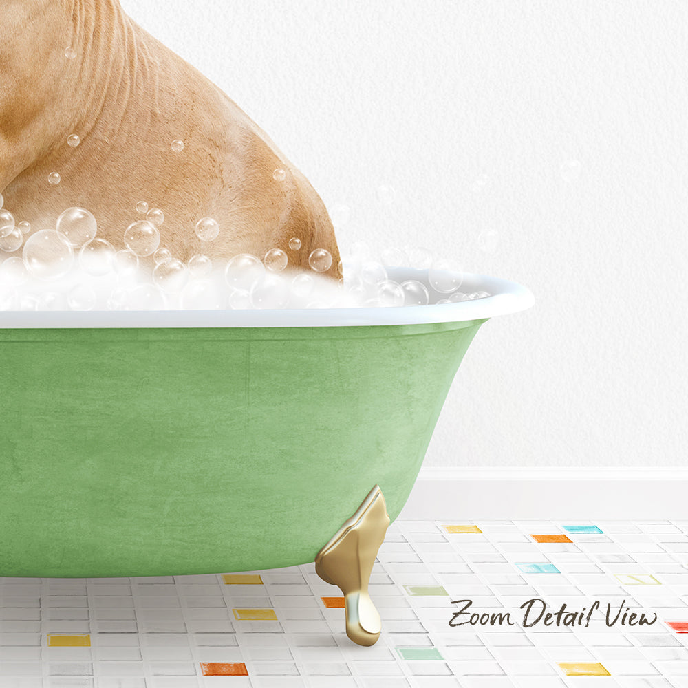 A dog is sitting in a green bathtub filled with bubbles, with a colorful tiled floor in the foreground.