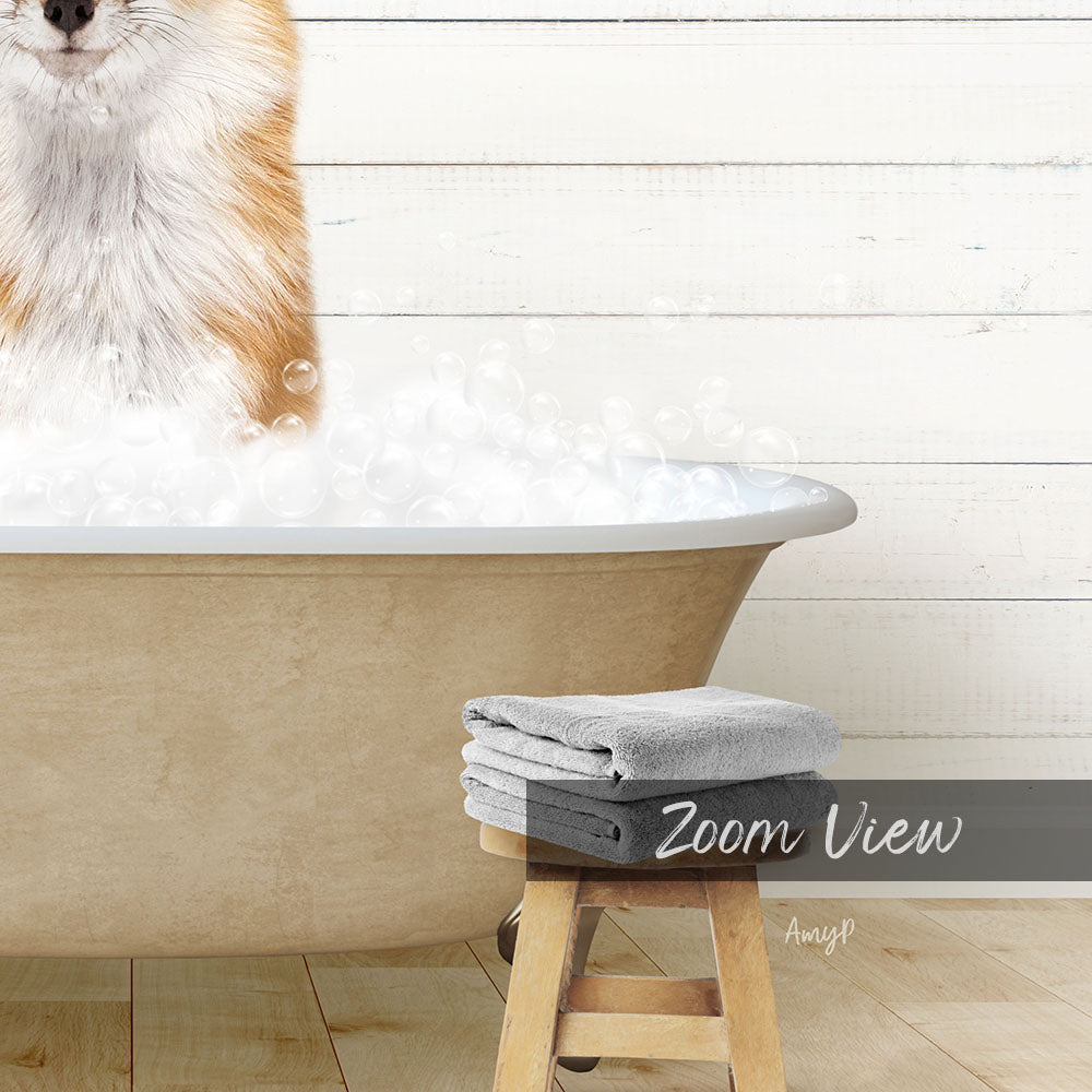 A fluffy orange and white dog is sitting in a bathtub filled with bubbles, with a towel and stool nearby.
