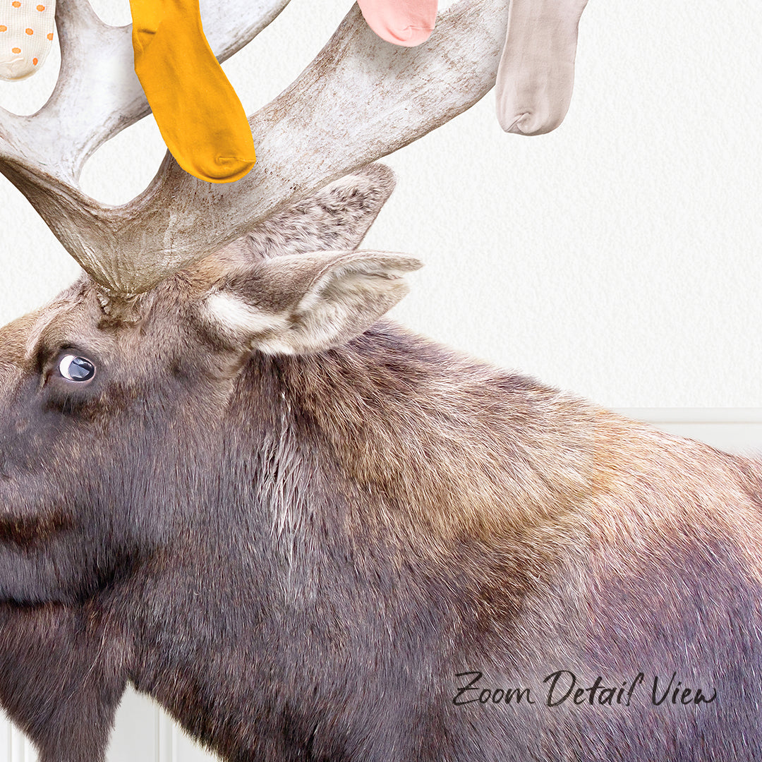 A close-up of a moose's head, with its large antlers and distinctive features, is the main focus of the image.