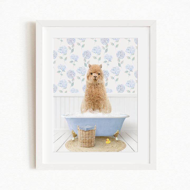 A fluffy brown dog sitting in a blue bathtub filled with bubbles, surrounded by a white floral patterned wall and a basket of rubber ducks.