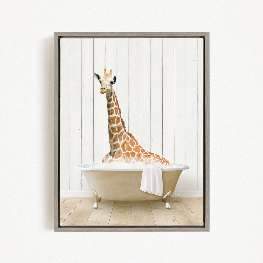 A giraffe sitting in a bathtub filled with water, with a towel draped over the side of the tub.