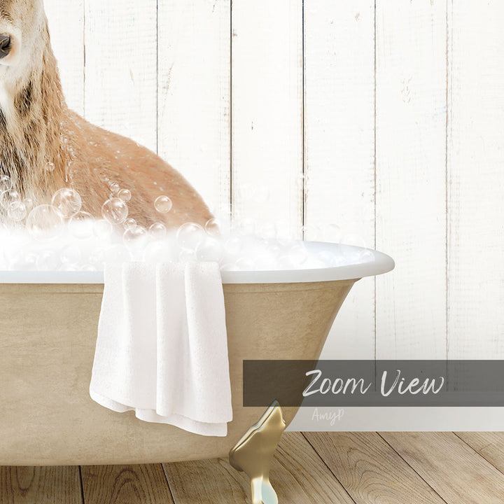 A dog is sitting in a bathtub filled with bubbles, with a towel draped over the side of the tub.