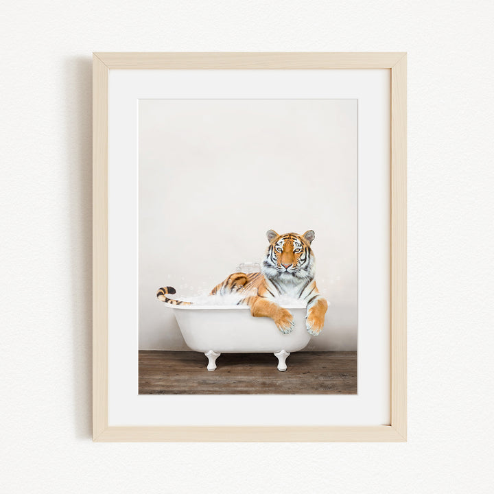 A tiger is sitting in a white bathtub, appearing relaxed and enjoying the bath.