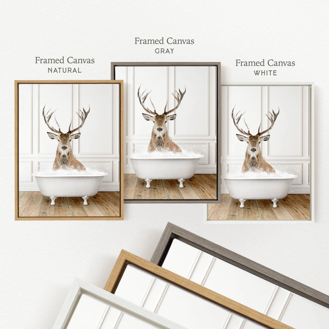 a deer head in a bathtub, with three different framed canvass sizes displayed below it.