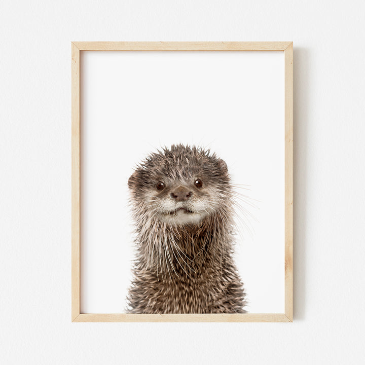 a picture of an animal in a wooden frame