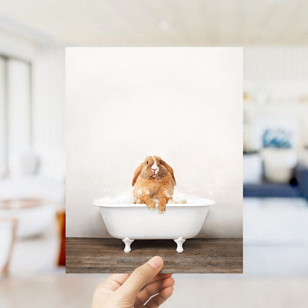 A hand holds up a framed photograph of a brown rabbit sitting in a white bathtub filled with bubbles, looking up at the camera.