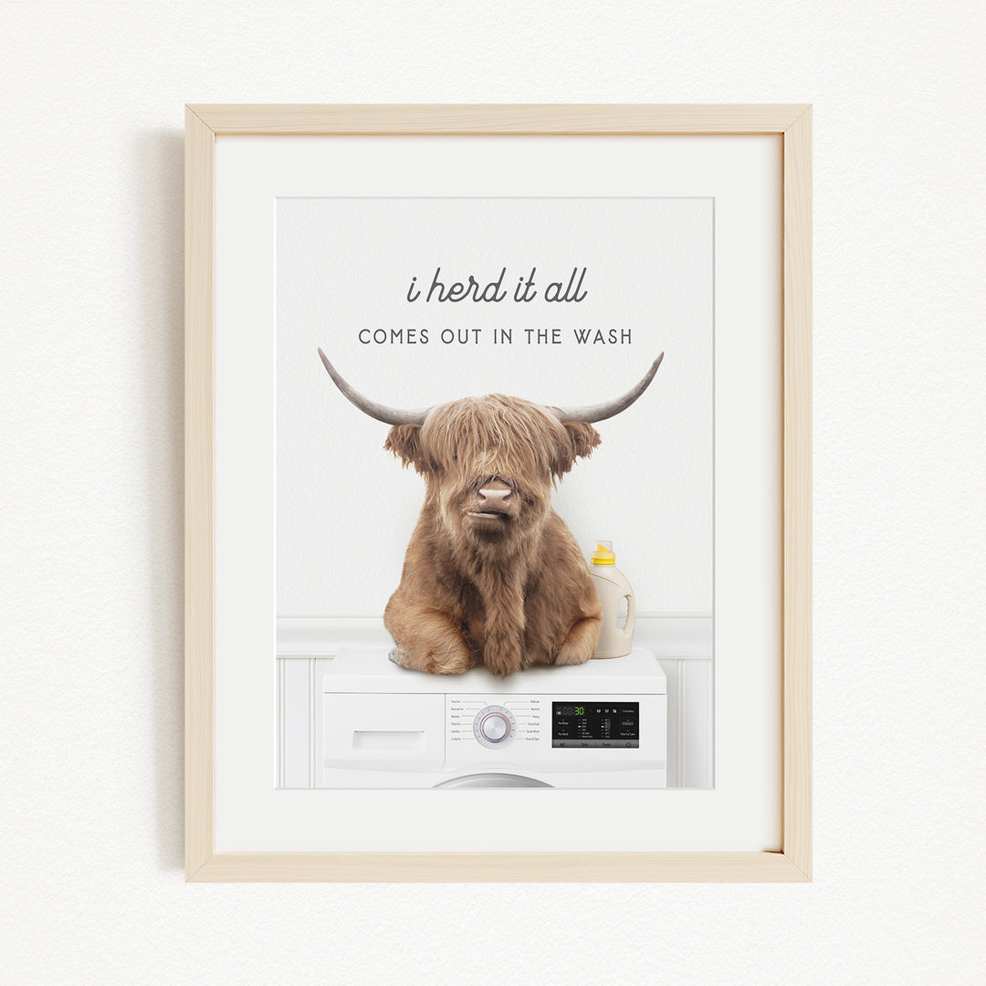 A framed image of a Highland cow sitting on a washing machine, with the text "I herd it all comes out in the wash" above the cow.