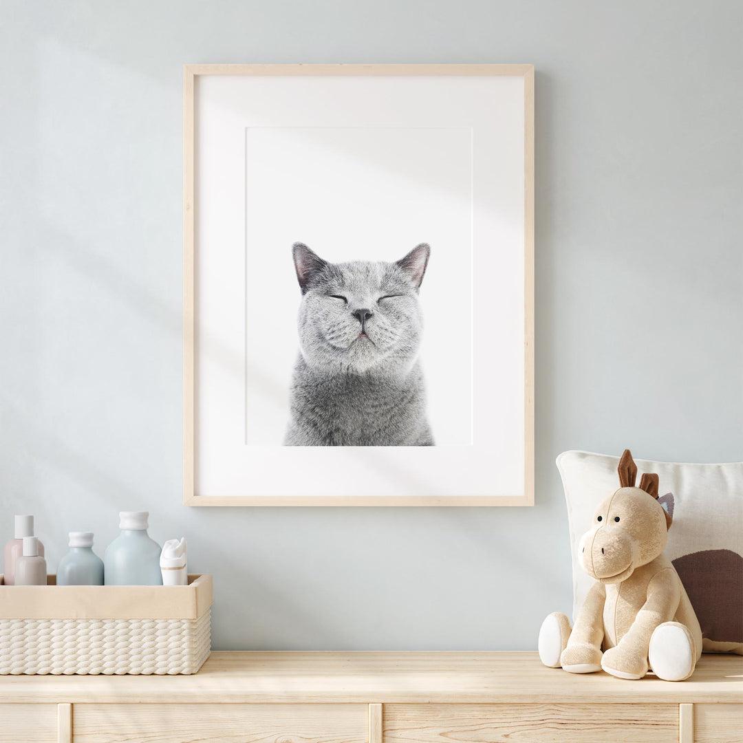 a picture of a cat with its eyes closed