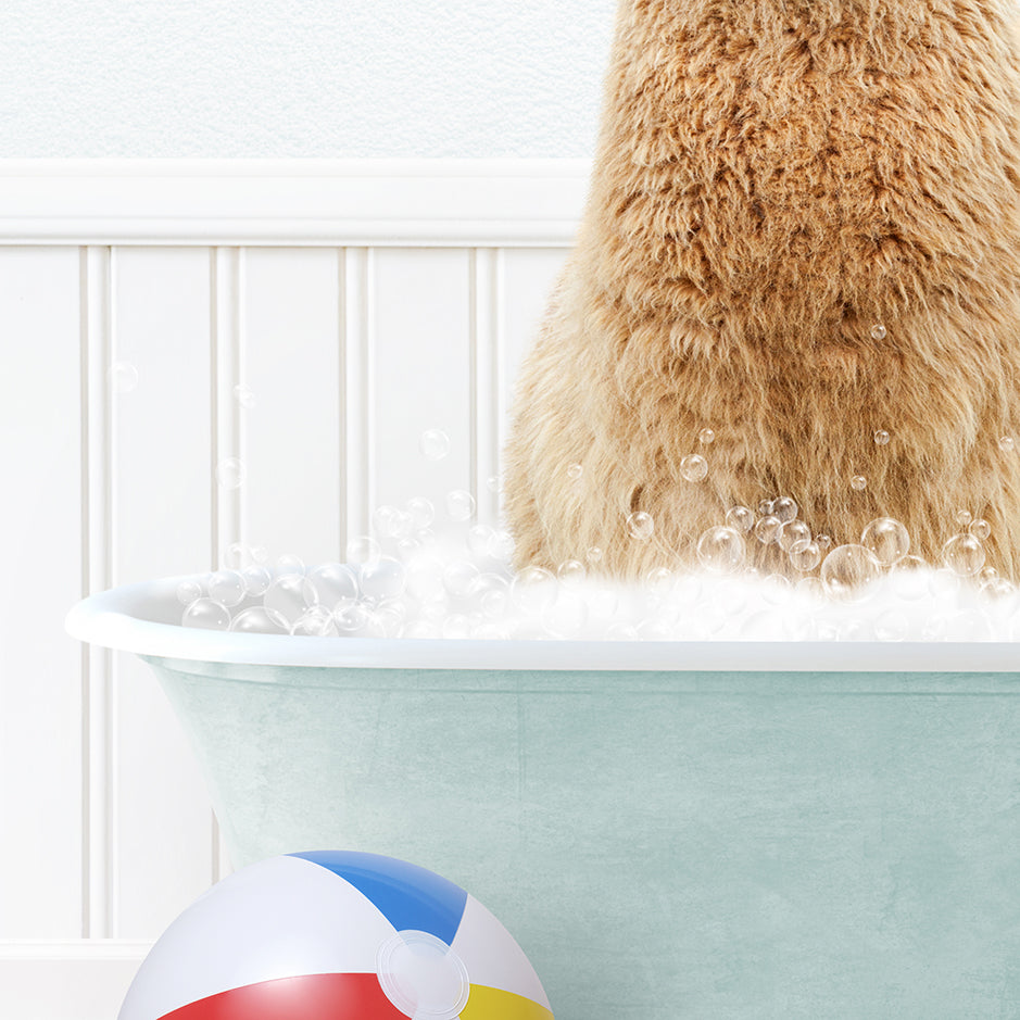 a bear sitting in a bathtub with bubbles and a beach ball