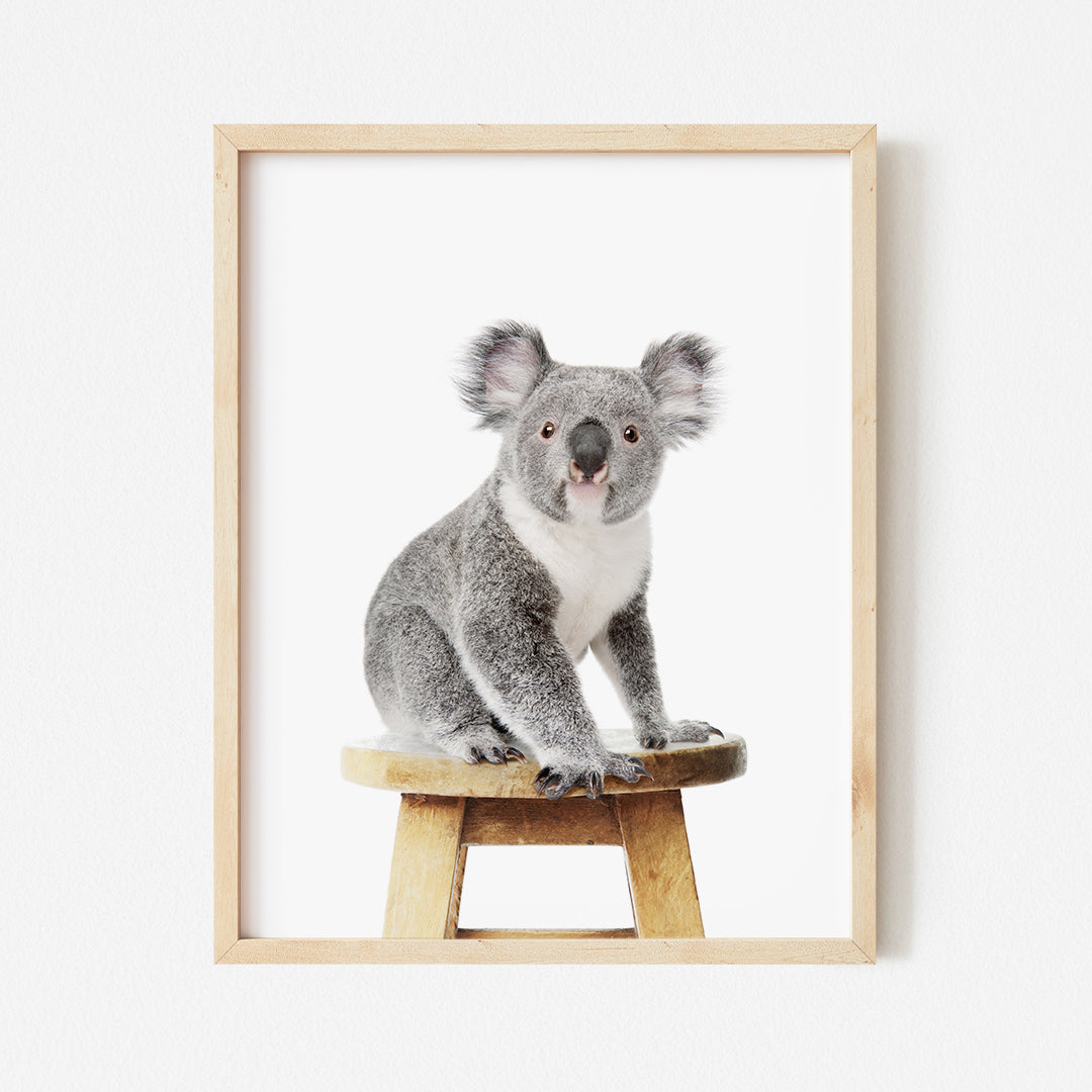 a picture of a koala sitting on a stool