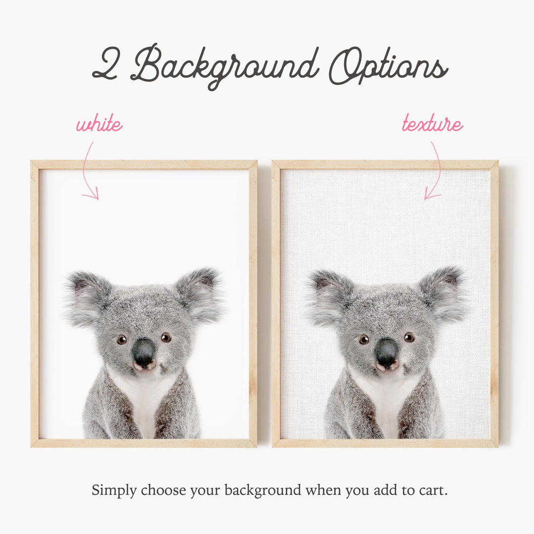 a picture of a koala in two different frames