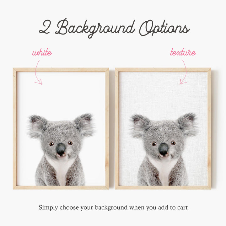 a picture of a koala in two different frames
