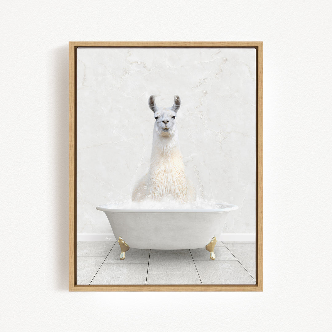 A white llama sitting in a white bathtub filled with bubbles, creating a whimsical and playful scene.