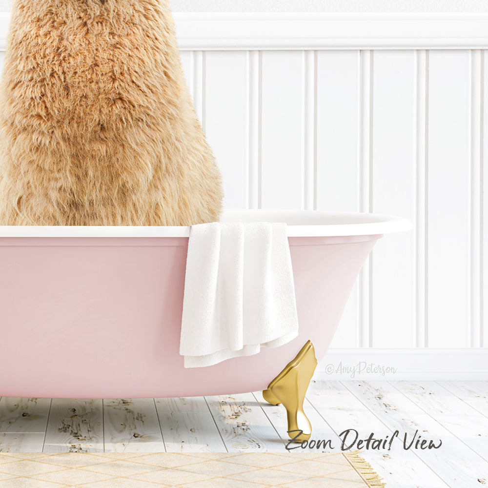 A fluffy brown cat sitting in a pink bathtub, with a white towel and gold bathtub stopper visible.