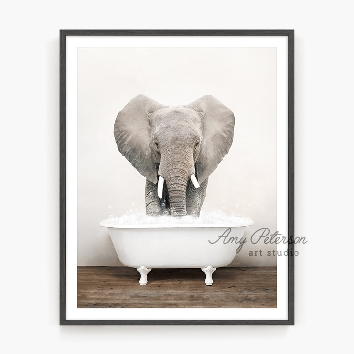 a picture of an elephant in a bathtub