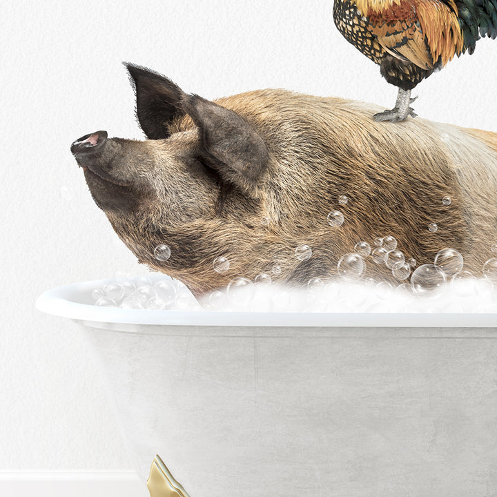 a pig in a bathtub with a chicken on top of it