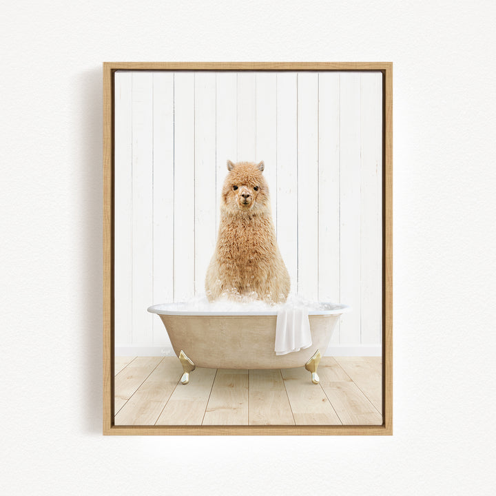 A fluffy brown dog sitting in a white bathtub filled with bubbles, looking directly at the camera.