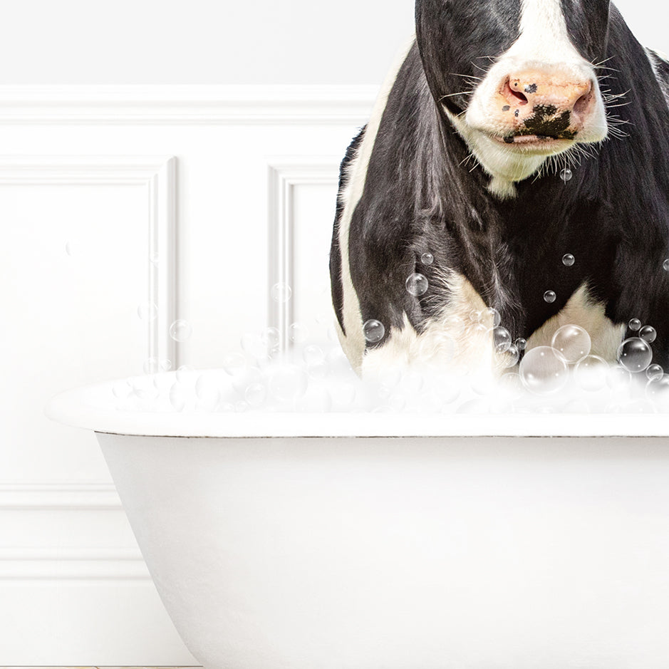 a black and white cow standing inside of a bath tub