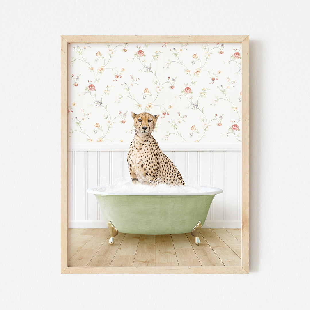 a picture of a cheetah sitting in a bathtub