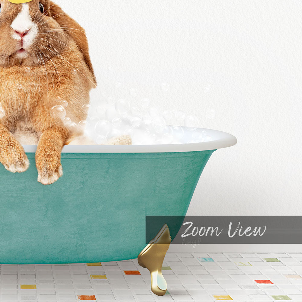 A cute brown rabbit sitting in a green bathtub filled with bubbles, with a "Zoom View" label below the image.