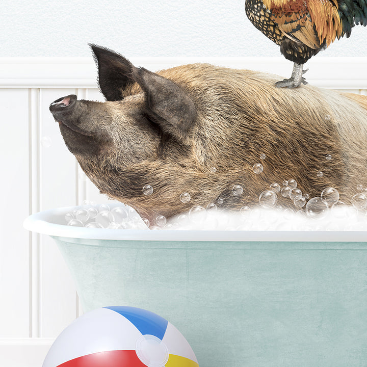 a pig in a bathtub with a chicken on top of it