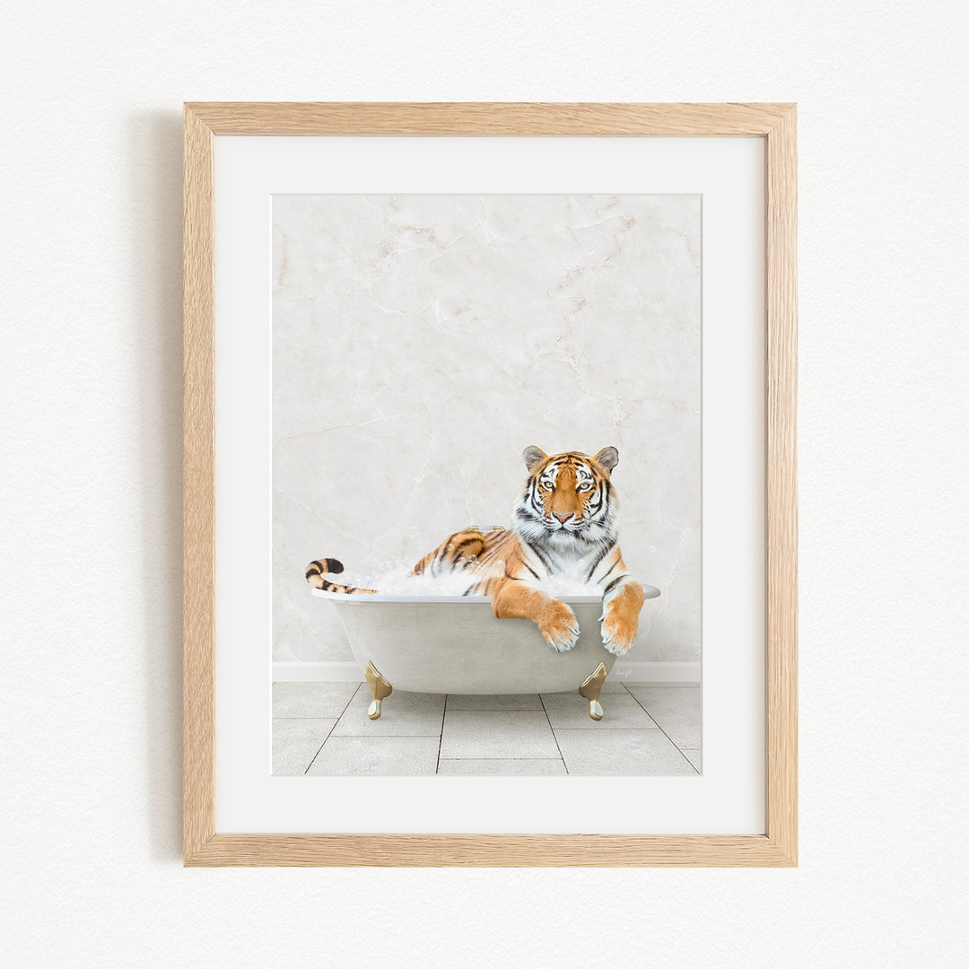 A tiger is sitting in a white bathtub, appearing relaxed and comfortable.