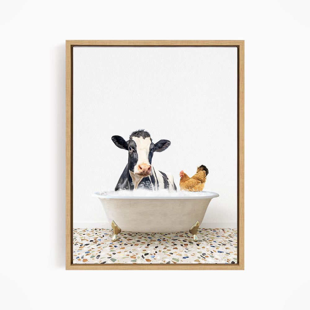 A black and white cow is sitting in a bathtub filled with water, with a chicken standing nearby.