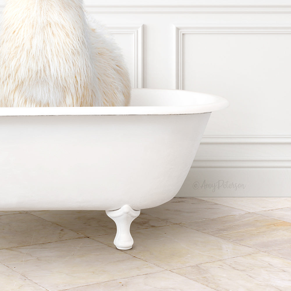 A white cat sitting in a white claw bathtub, with its back turned to the camera.