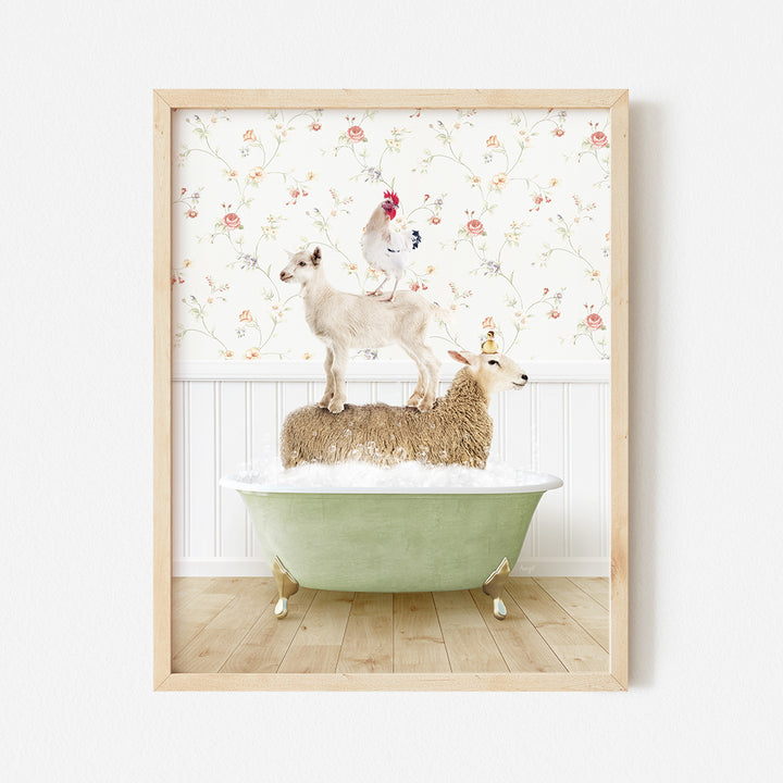 a sheep and two lambs in a bathtub