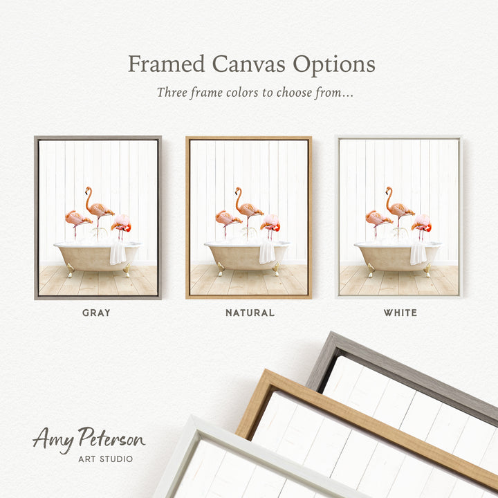 three framed canvas options, each featuring a different color and frame style. The options include a gray frame, a natural frame, and a white frame. The text above the options reads " Framed Canvas Options" and "Three frame colors to choose from...". The text below the options reads "GRY", "NATURAL", and "WHITE". The artist's name, " Amy Peterson ART STUDIO", is also present.