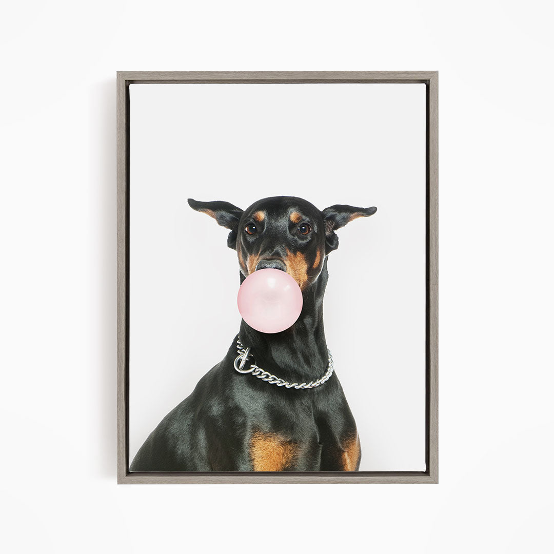 A black and tan dog wearing a silver chain collar is blowing a bubble with a pink bubble gum bubble.