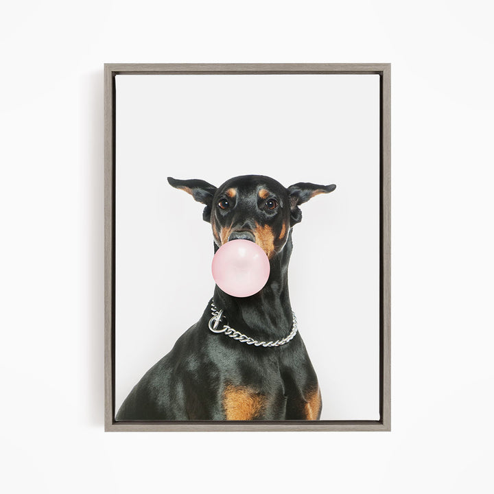 A black and tan dog wearing a silver chain collar is blowing a bubble with a pink bubble gum bubble.