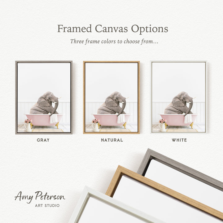 three framed canvas options, each with a different color: gray, natural, and white. The text above the images reads " Framed Canvas Options" and "Three frame colors to choose from...". The text below the images reads "Grays", "Naturals", and "Whites". The artist's name, Amy Peterson, is also mentioned at the bottom of the image.