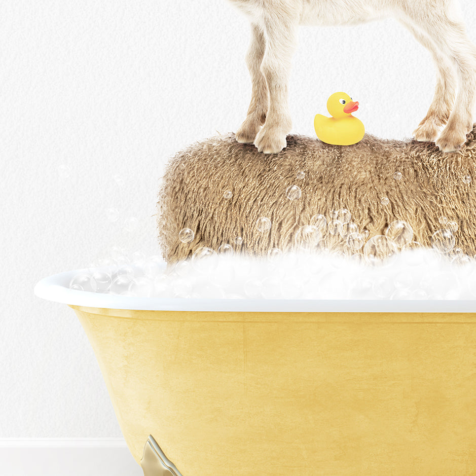 a dog standing on top of a bathtub with a rubber duck