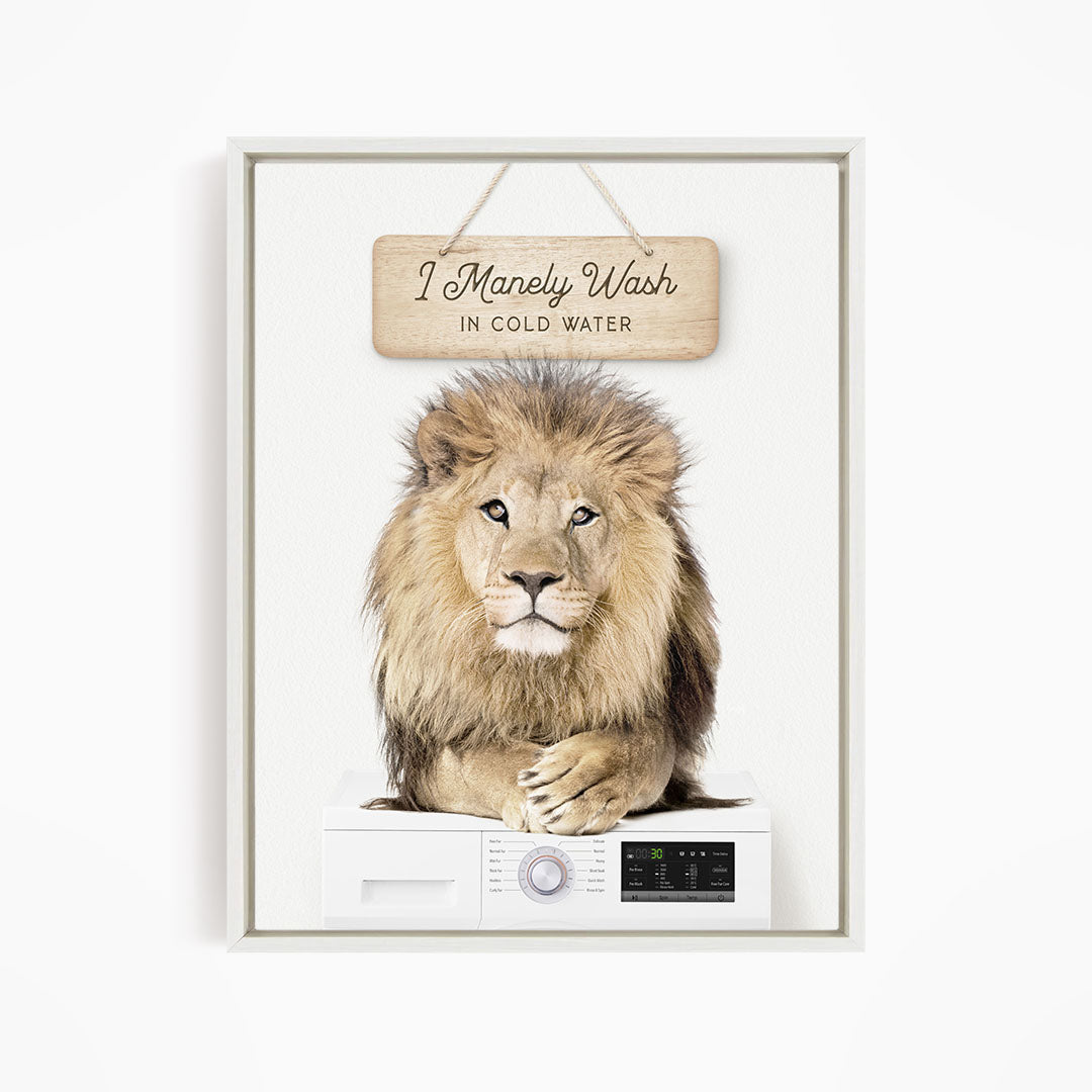 A framed image of a lion resting on a washing machine, with a wooden sign above that says "I Manely Wash in Cold Water".