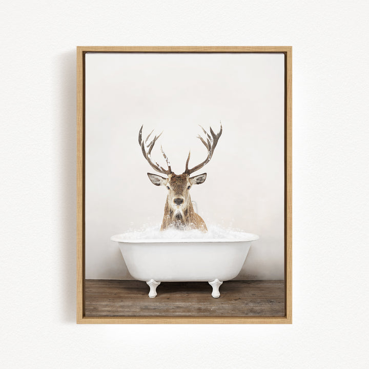 A deer with large antlers is sitting in a white bathtub filled with water, creating a whimsical and unexpected scene.
