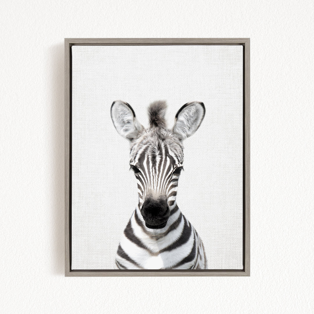 A framed black and white photograph of a zebra's head, with its distinctive striped pattern and large ears clearly visible.