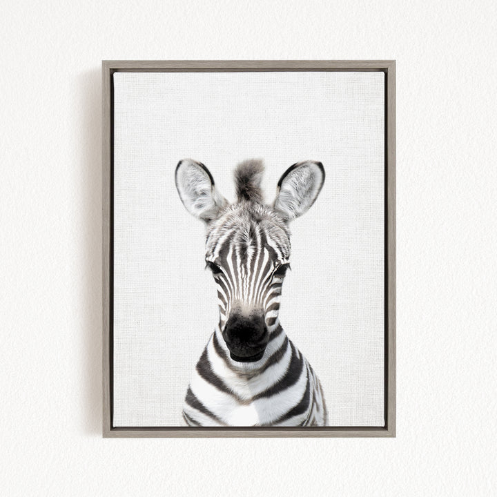 A framed black and white photograph of a zebra's head, with its distinctive striped pattern and large ears clearly visible.