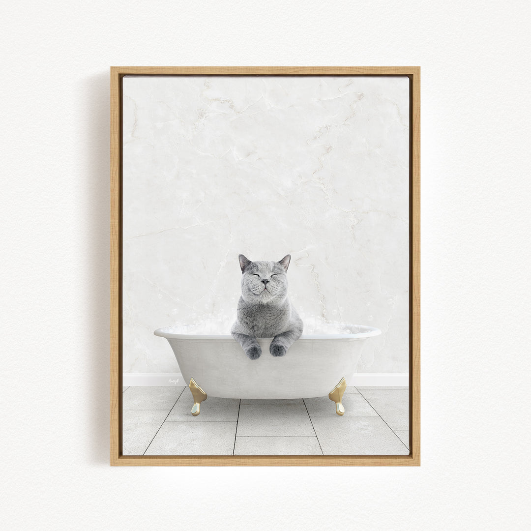 A gray cat sitting in a white bathtub, with its paws resting on the sides of the tub.