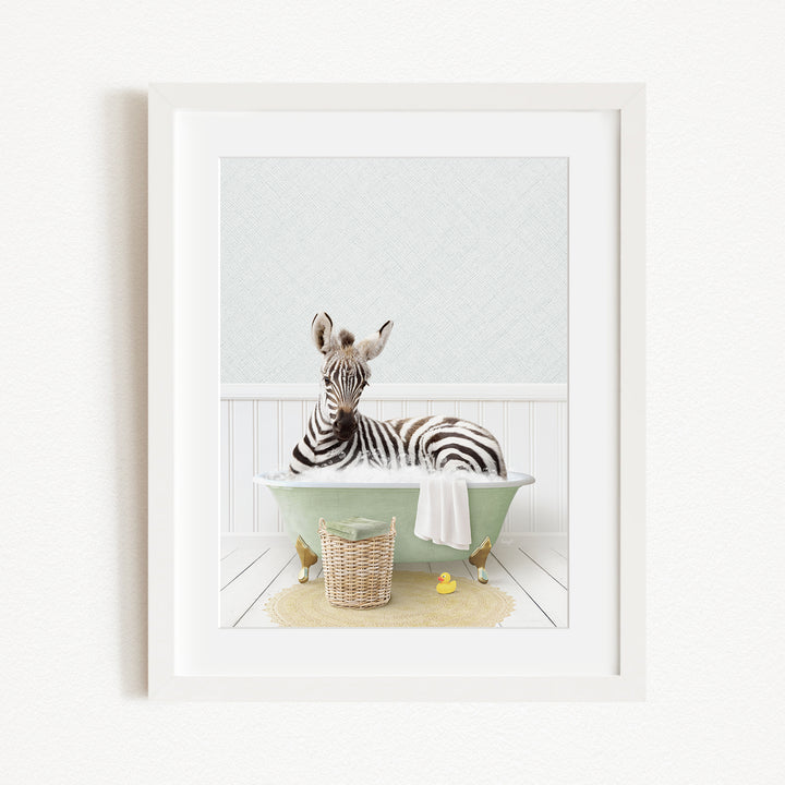 A zebra is sitting in a green bathtub filled with water, surrounded by rubber ducks and a basket.