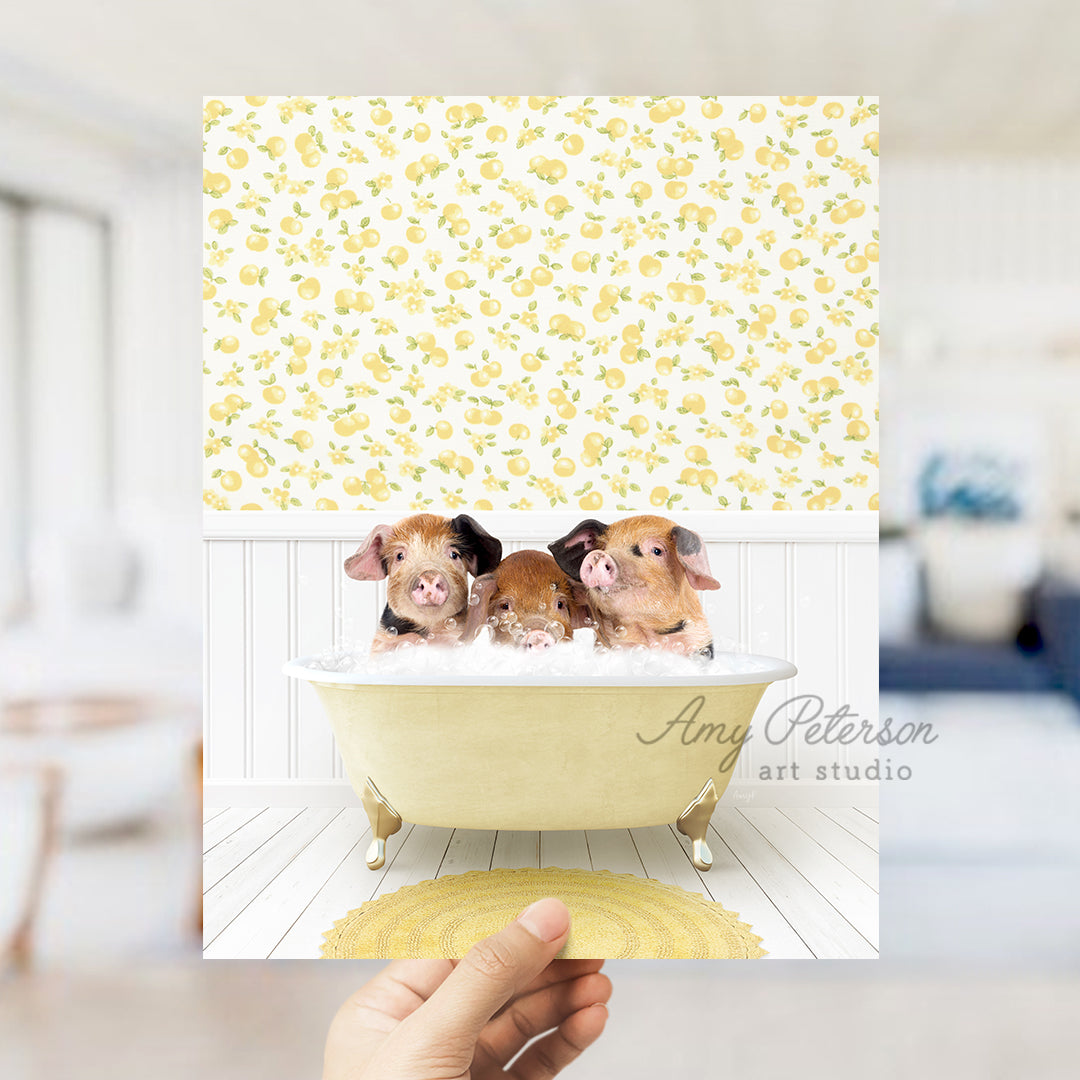 a person holding up a card with three small dogs in a bathtub