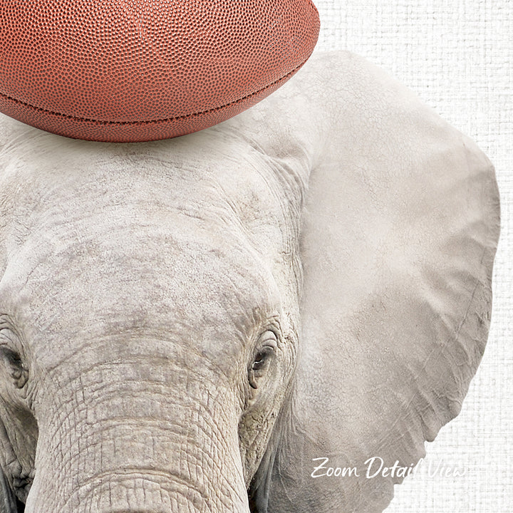 An elephant with a football resting on its head.