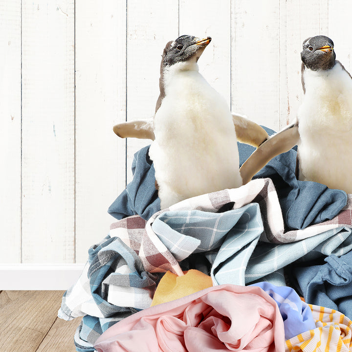 a couple of birds sitting on top of a pile of clothes